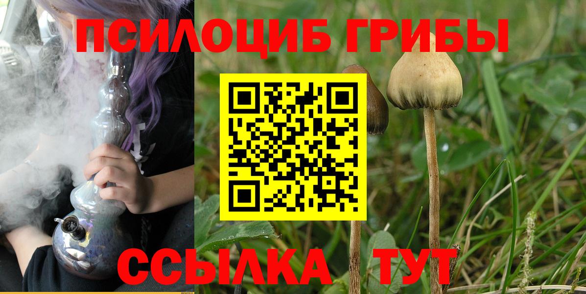 Псилоцибиновые грибы MAGIC MUSHROOMS  Вход с VPN  Сибай  Псилоцибиновые грибы MAGIC MUSHROOMS 