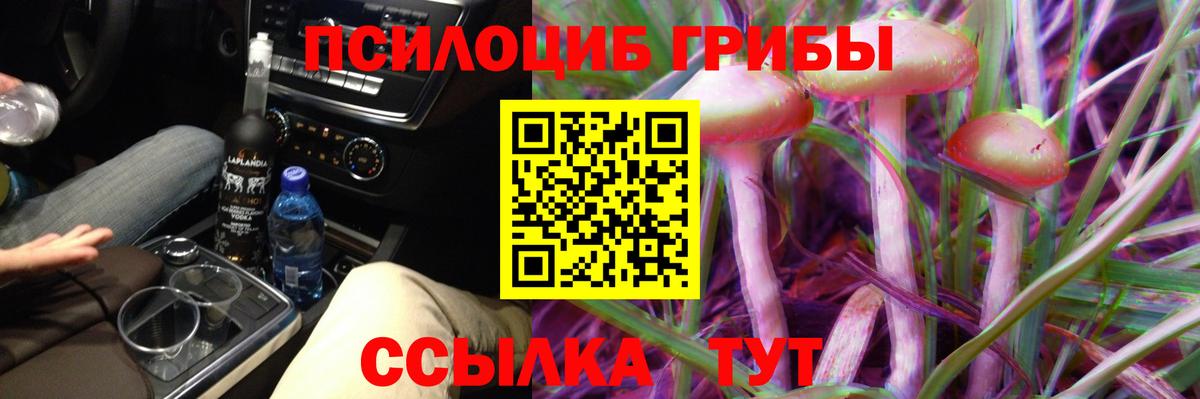 Галлюциногенные грибы GOLDEN TEACHER Сибай